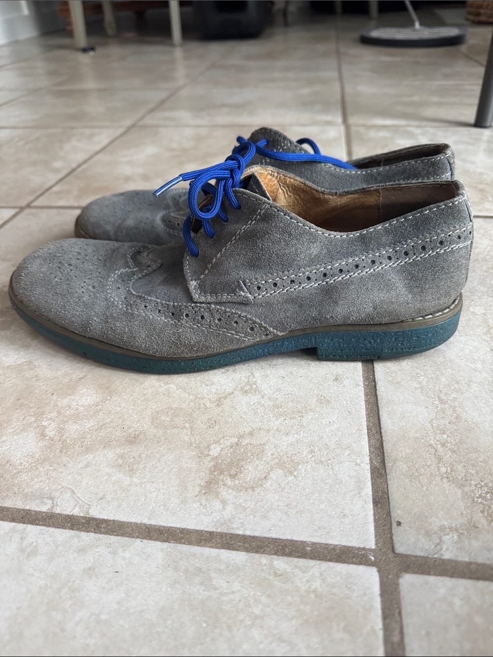 Men's Gray Suede Wingtip Oxfords with Blue Laces